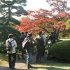 Tokyo_Rikugien_Park_5